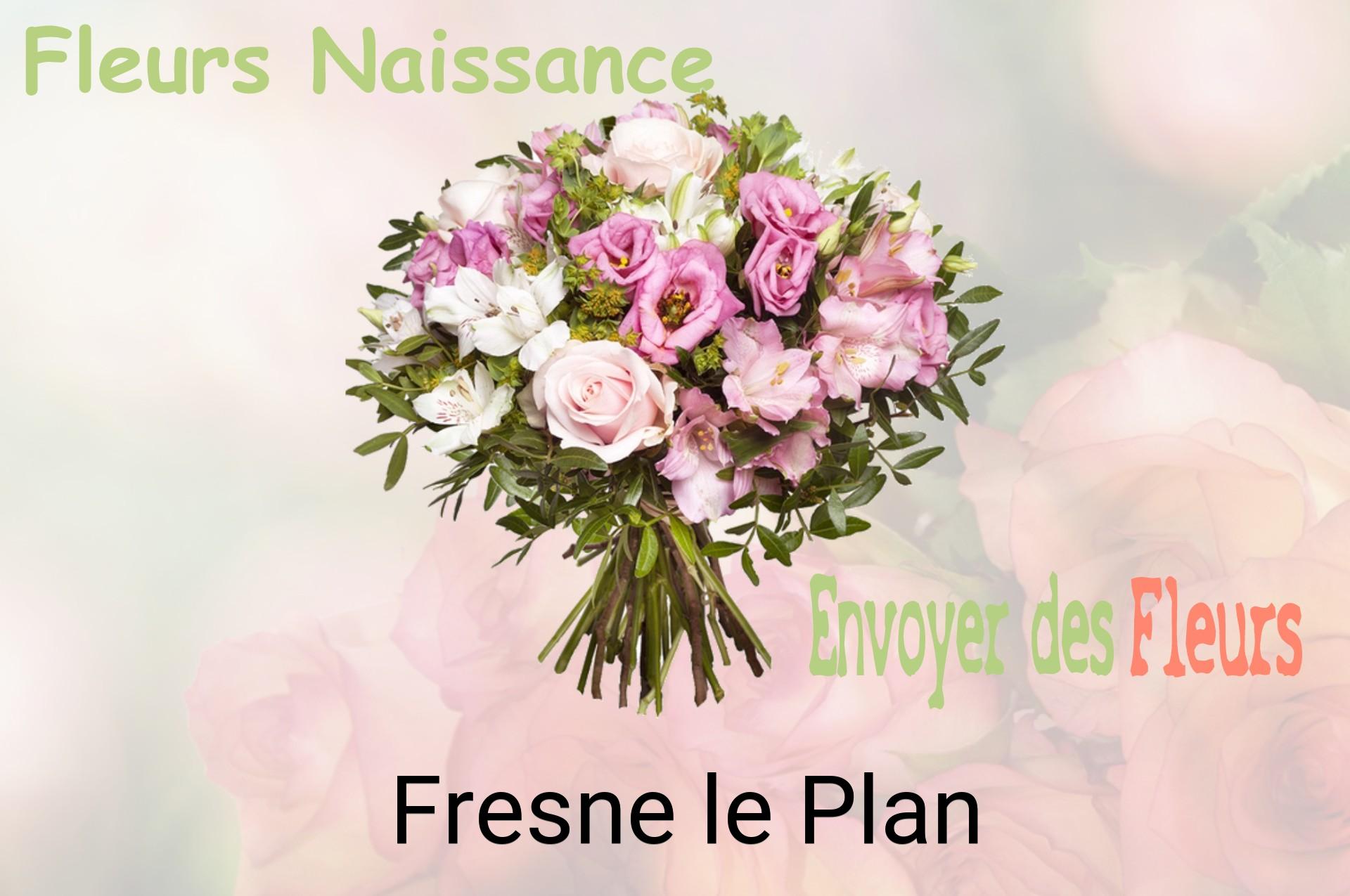Bouquet de fleurs de naissance livré à Fresne-le-Plan